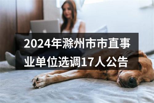 2024年滁州市市直事业单位选调17人公告 图片