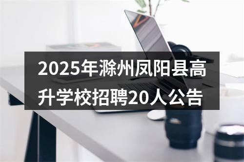 2025年滁州凤阳县高升学校招聘20人公告 图片