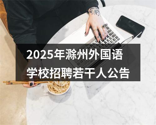 2025年滁州外国语学校招聘若干人公告 图片
