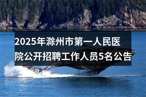 2025年滁州市第一人民医院公开招聘工作人员5名公告 图片