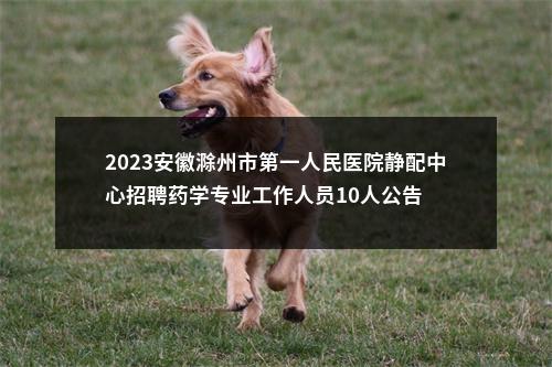 2023安徽滁州市第一人民医院静配中心招聘药学专业工作人员10人公告 图片