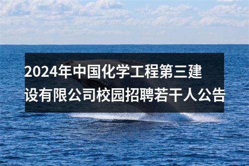 2024年中国化学工程第三建设有限公司校园招聘若干人公告 图片