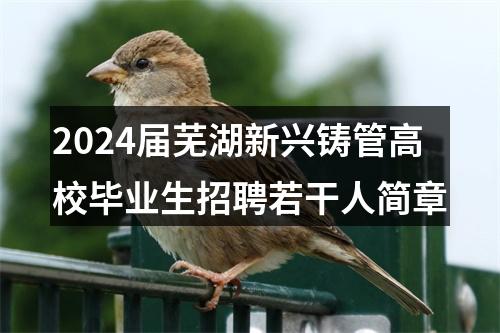 2024届芜湖新兴铸管高校毕业生招聘若干人简章 图片