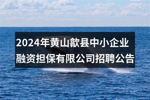 2024年黄山歙县中小企业融资担保有限公司招聘公告 图片